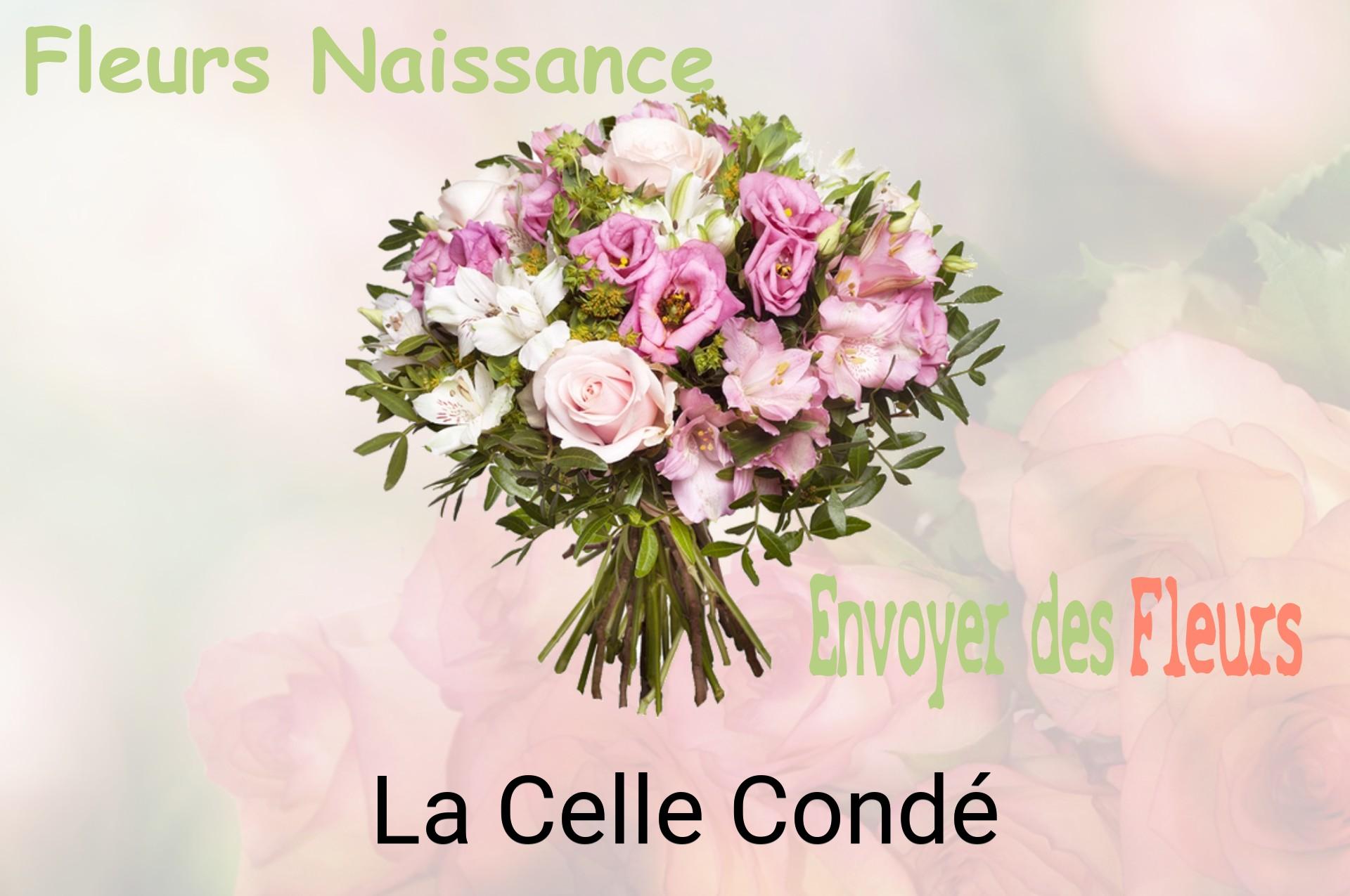 Bouquet de fleurs de naissance livré à La Celle-Condé